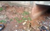 Lluvias provocan caos en Tegucigalpa