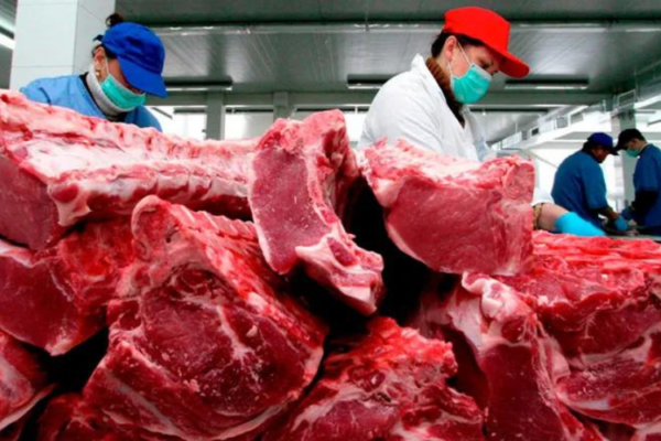 Honduras exportación de carne