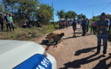 asesinato en Copán